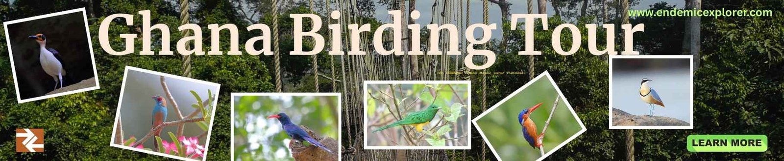 Banner cover of Ghana birdig tour report