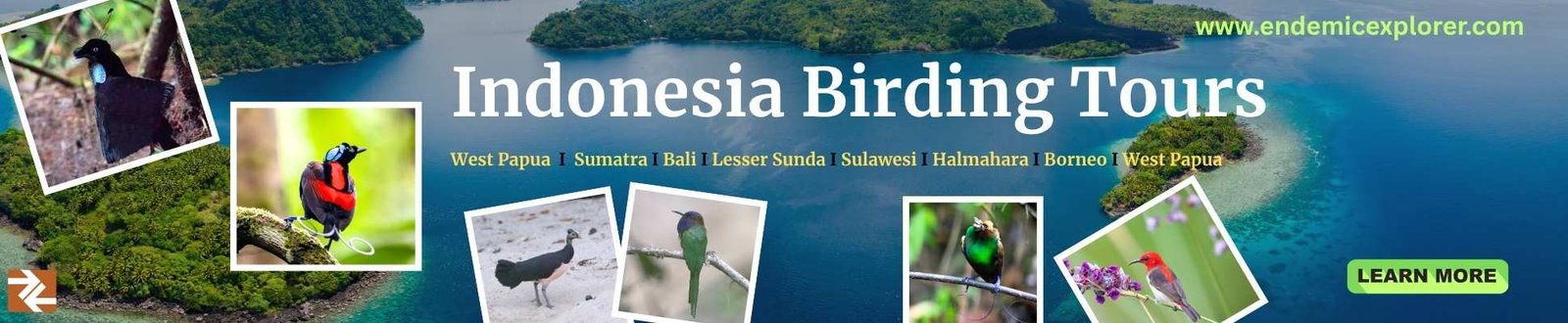 Indonesia Birding Tour Banner