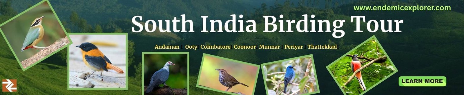 South India birding tour banner advertisement