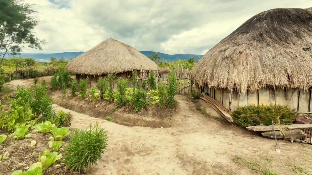 Round tribal huts in Papua New Guniea
