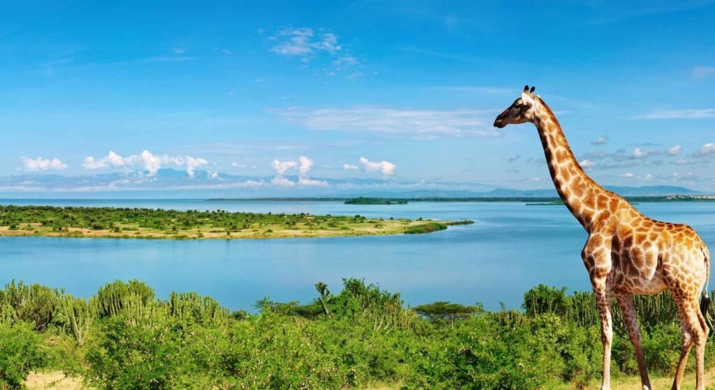 Cover Photo for Uganda Fishing Tour