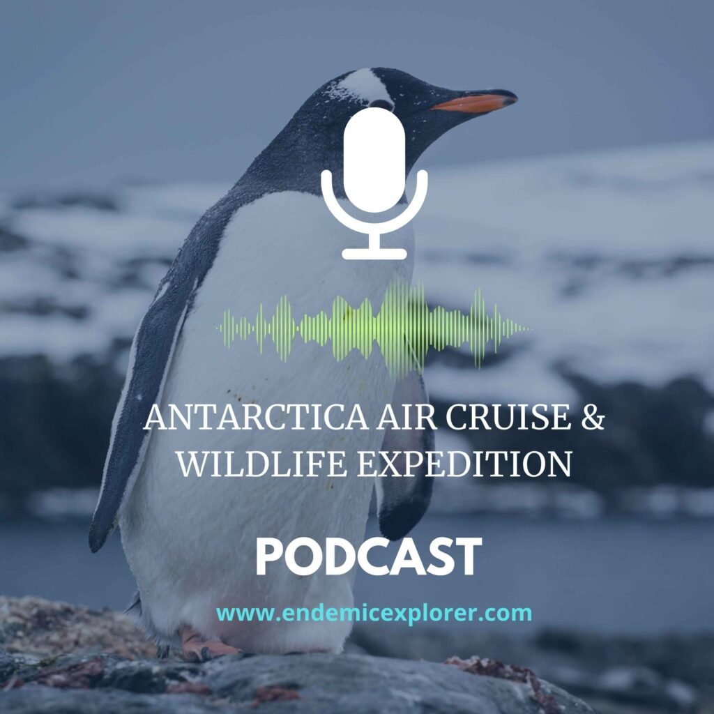 Antarctica Bruise podcast cover