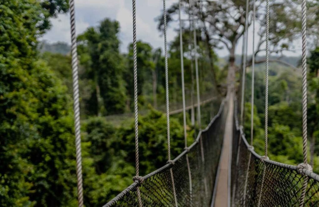 Photo of a ropeway walk in Ghana