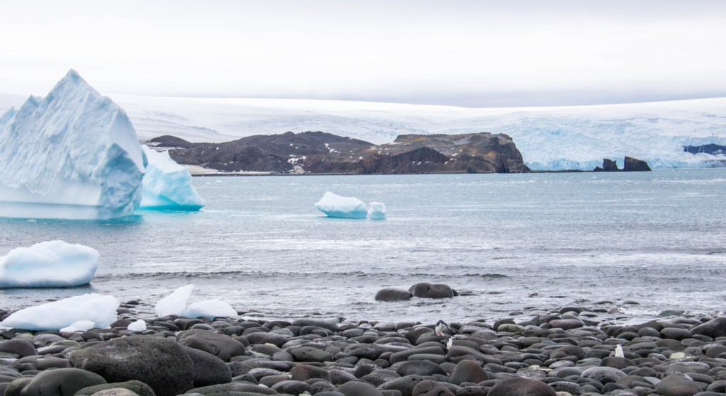 Photo of king george island in Antarctica
