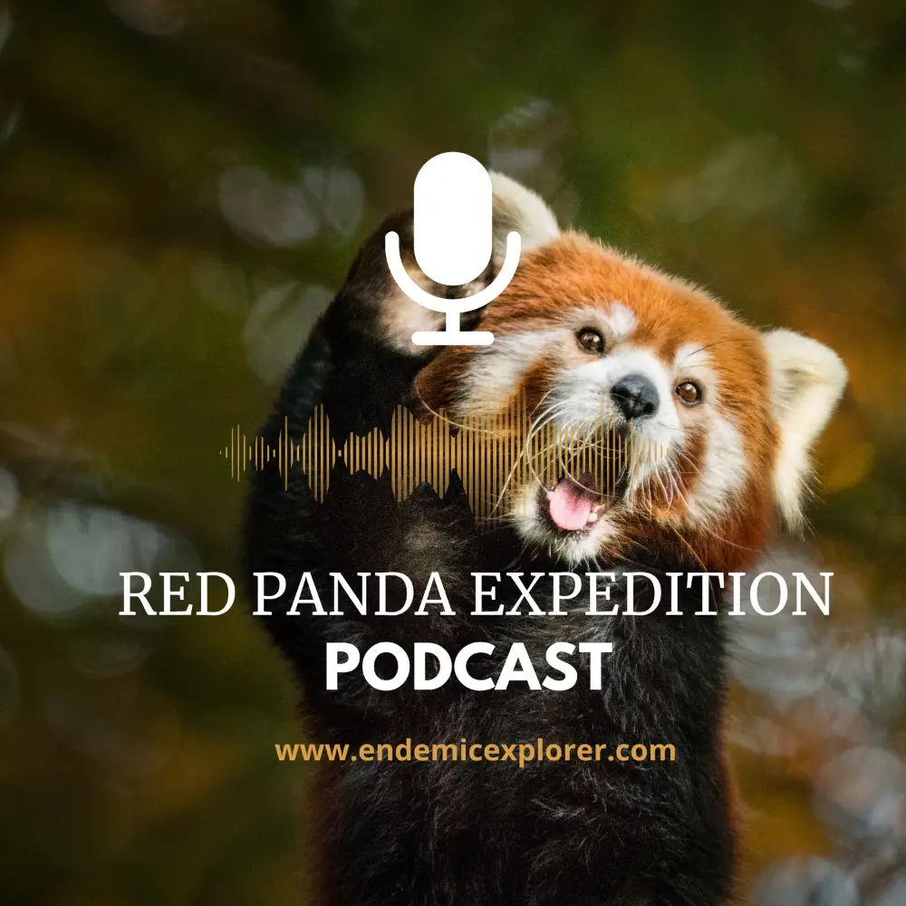 cover of redpanda podcast