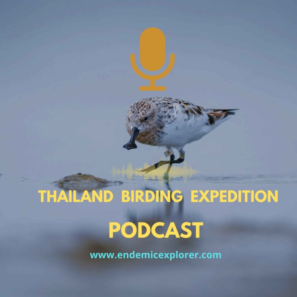 cover of a podcast regarding birding in Thailand