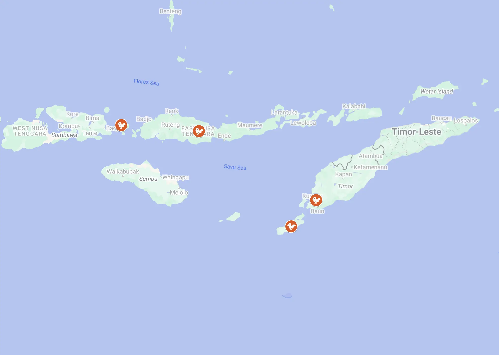 birding map of lesser sunda islands Indonesia