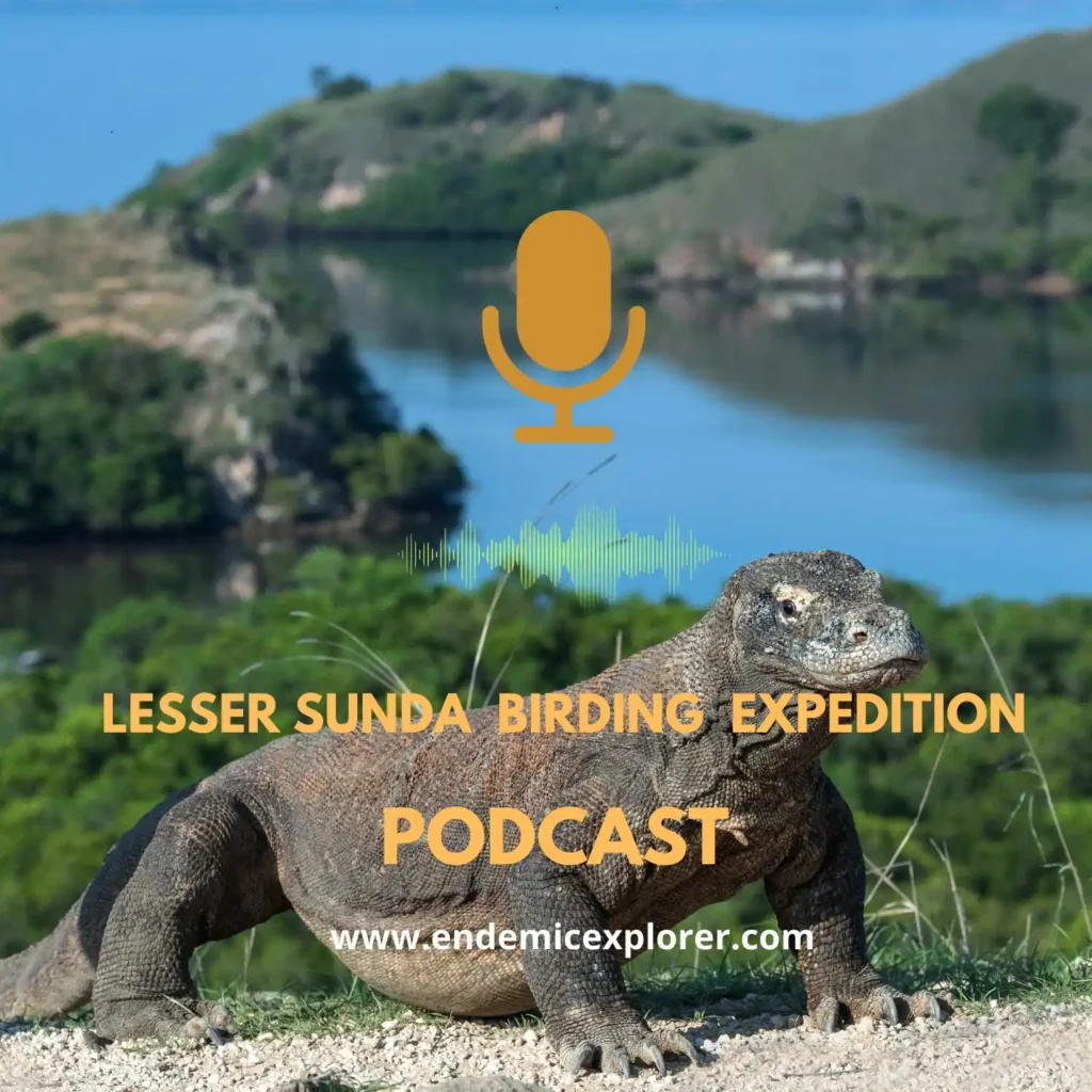 Podcast cover for Lesser Sunda Tour