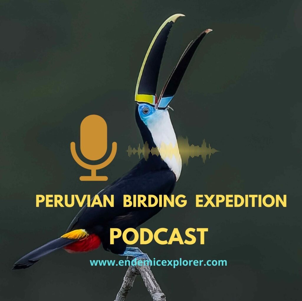 Peru Podcast cover
