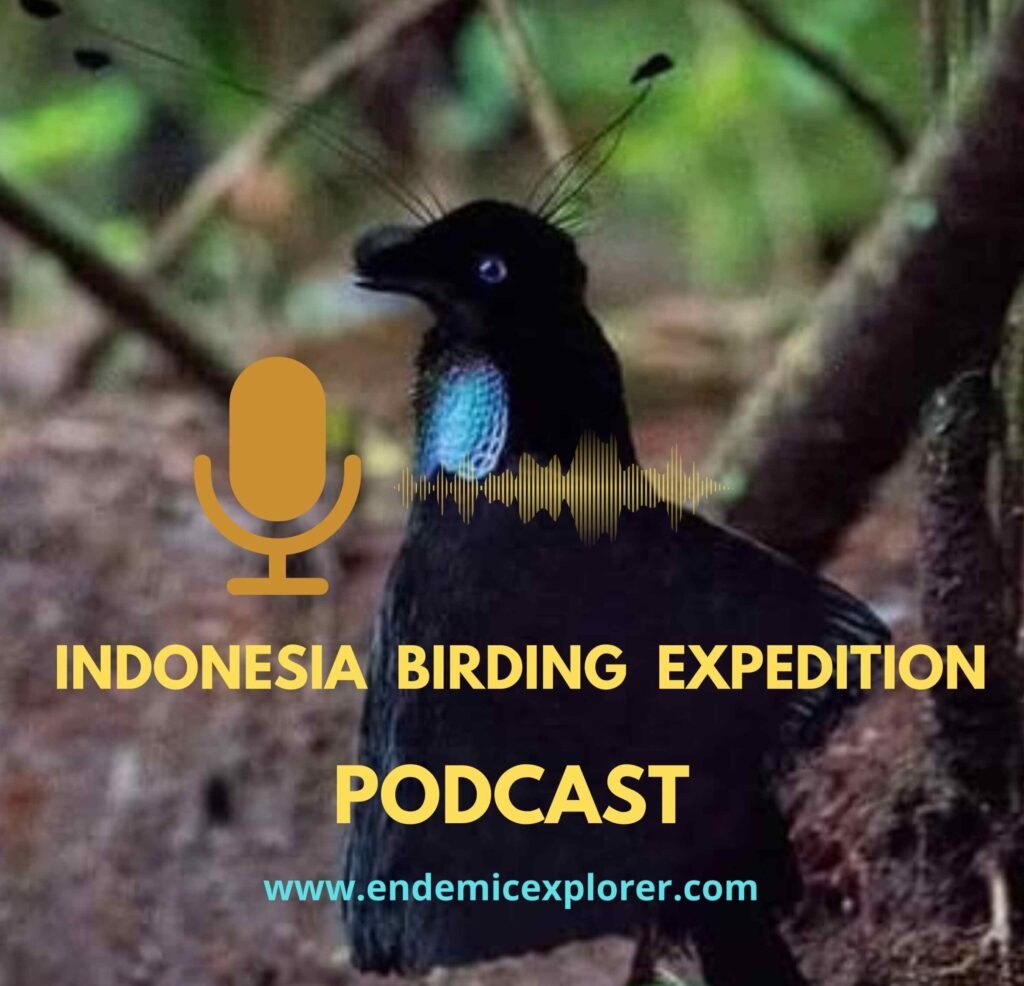 podcast cover Indonesia
